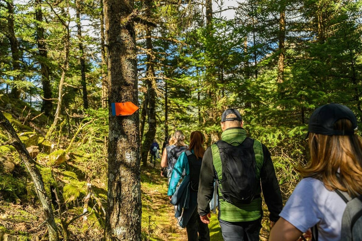 Escursione Foresta 