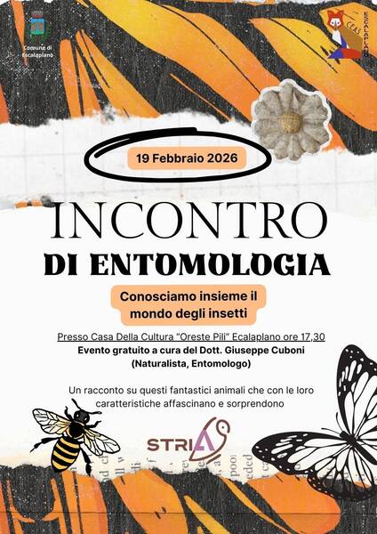Incontro di entomologia - Conosciamo insieme il mondo degli insetti