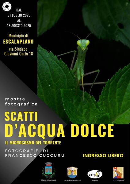 Mostra fotografica - Scatti d'acqua dolce Mostra fotografica - Scatti d'acqua dolce